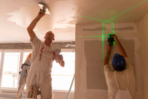 Best Basement Mold Removal  in Long Beach, MS